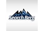 Affordable SEO Packages & Pricing - Search Berg