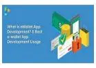 E-Wallet app development company