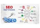 Get Noticed Online with Result-Driven SEO Services Ballarat