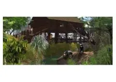 Zoo Exhibit Design and Master Planning Consultant Services