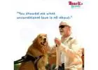 dog boarding in delhi price - barknwalk