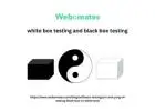 white box testing and black box testing