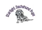 Dapple Dachshund Puppies for Sale Near Me under $300 to $500