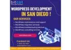 Top Rated Wordpress Developer in San Diego ! Get a Free Quote | Bitcot