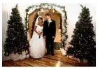 2023 Christmas Wedding Attire Collection!!!