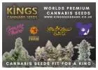 Best Cannabis Seeds UK - Kings Seedbank
