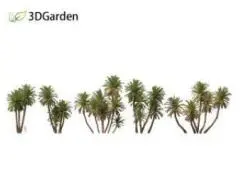 Palm Tree 3D Models Free Download