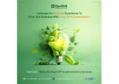 Optimize Your Business with OpenTeQ's NetSuite Solutions