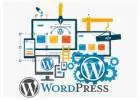Infisuite : WordPress Website Development Company in Delaware