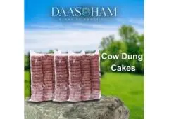 Cow Dung Cake Making