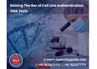 Get the Best Cell Line Authentication Test in India