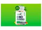 CBD One Gummies Official Website, Working, Reviews & Price!