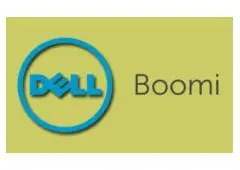 Best Online Dell Boomi Training | Techsolidity