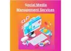 Social Media Management Services | WebMaxy