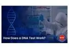 Accredited DNA Tests for Relationships Identification