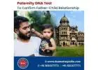 How Long Does it Take to Get Paternity DNA Test Results in India?