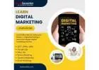 Gain In-Demand High Paying Skills With Dizzibooster Digital Marketing Courses in Punjab