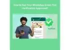 Get Your WhatsApp Green Tick Verification Approved