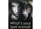 Deepening Spiritual Connection: Animals as Guides with a Healer Near Me【✚２７７２５７７０３７６】