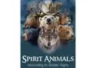 【✚２７７２５７７０３７６】: Strategies for Deciphering Spiritual Messages from Animals