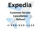 does expedia have free cancellation? Quick Assistance | No WaitEnjoy 100% Cancel Reliability